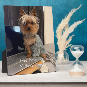 Plaque Photo Ralphie le Yorkie Tasse à Thé a Une de Ces Journée