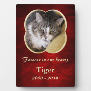 Plaque Photo Red Gold Frame Pet Memorial Template