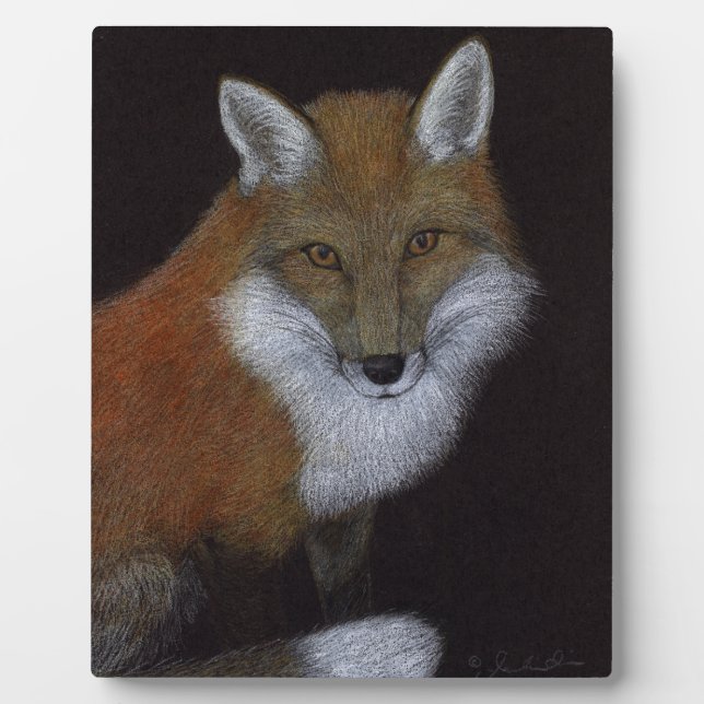 Plaque Photo Renard rouge (Devant)