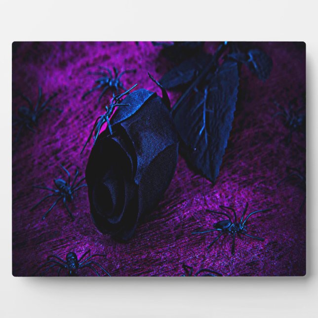 Plaque Photo Rose éffrayant en matière noire, araignées noires (Devant)