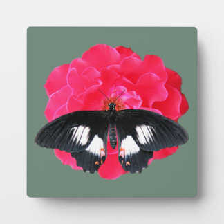 Plaque Photo Rose et Swallowtail