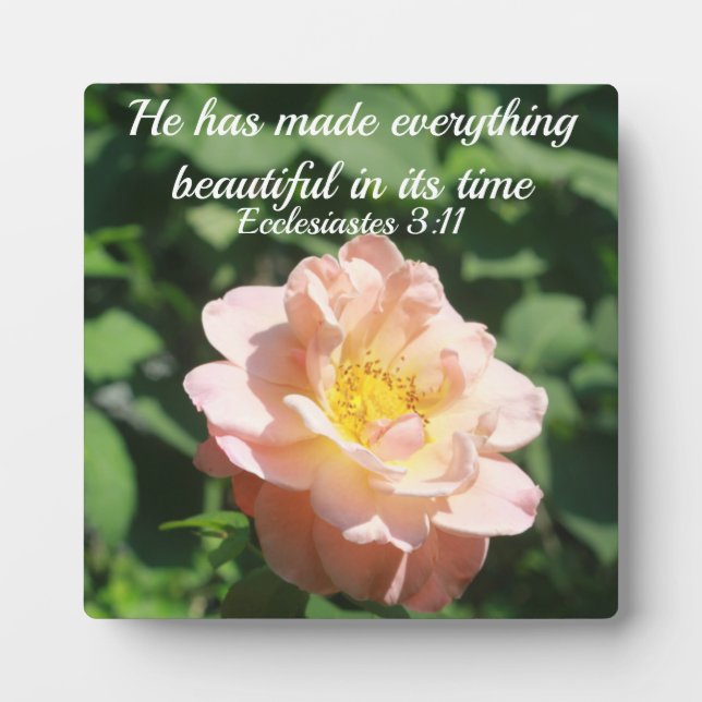 Plaque Photo Rose Floral Photo Texte Inspirant Ecclesiastes (Devant)