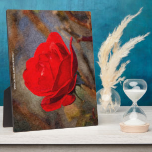 Plaque Photo Rose rouge