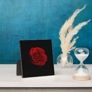 Plaque Photo Rose rouge dramatique - Art floral minimaliste Imp