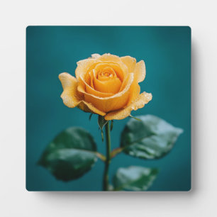Plaque Photo Rose unique