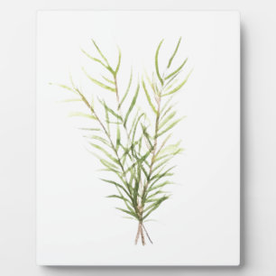 Plaque Photo Rosemary herbs
