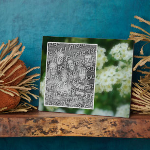 Plaque Photo Roses Blanches Sauvages Roulants Ajouter Votre Pro