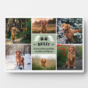 Plaque Photo Sage Green Wings Chig Paws Memorial Photo Collage