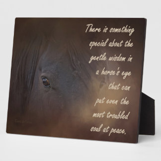 Plaque Photo Sagesse douce dans l'oeil d'un cheval
