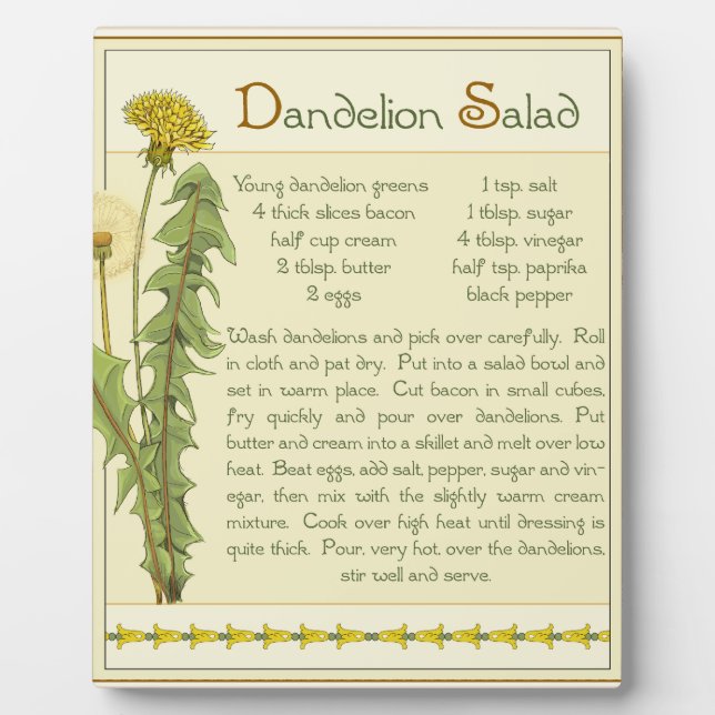 Plaque Photo Salade de Dandelion - (Devant)
