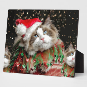 Plaque Photo Santa Cat