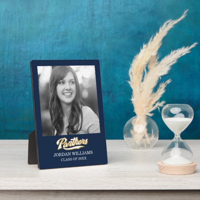 Plaque Photo Script des panneaux FIU (Côté)