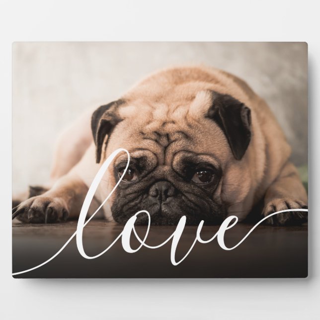 Plaque Photo Script moderne Love Photo pour animaux de compagni (Devant)