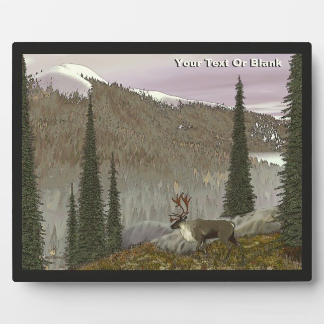 Plaque Photo Selkirk Caribou (Devant)