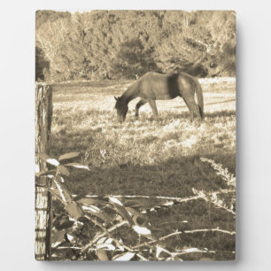 Plaque Photo Sepia ton cheval Brown et clôture