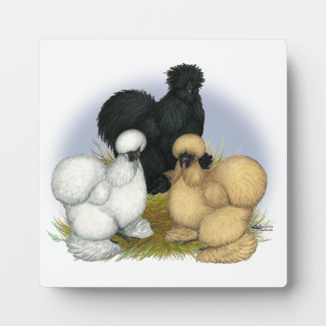 Plaque Photo Silkie Trio (Devant)