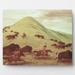 Plaque Photo Sioux Indians hunting buffalo, 1835