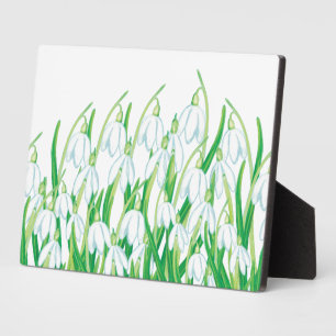 Plaque Photo Snowdrops de printemps