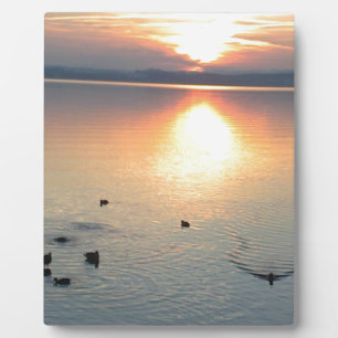 Plaque Photo Sonnenuntergang am Voir mit Enten