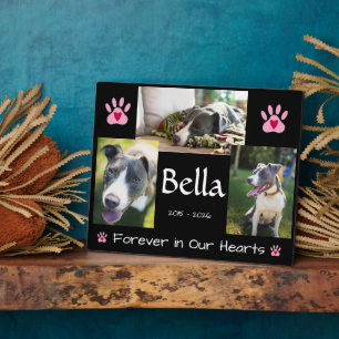 Plaque Photo Souvenir de deuil d'animal de compagnie