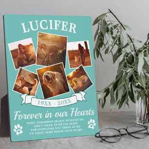 Plaque Photo Souvenir de mémorial d'animal de compagnie sarcell