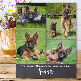 Plaque Photo Souvenirs Préférés - Photo de Chien à Garder en So
