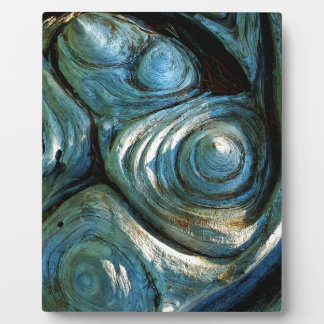 Plaque Photo Spirales en bois