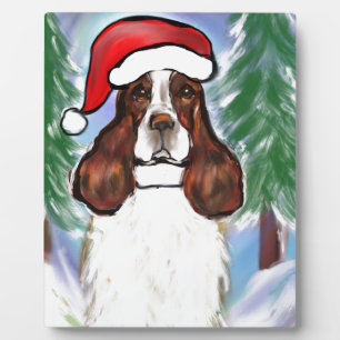 PLAQUE PHOTO SPRINGER SPANIEL ANGLAIS