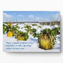 Squash d'hiver en neige - Personnalisé
