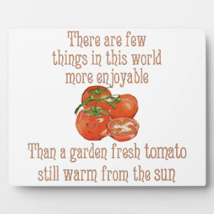 Plaque Photo Sun a chauffé des tomates