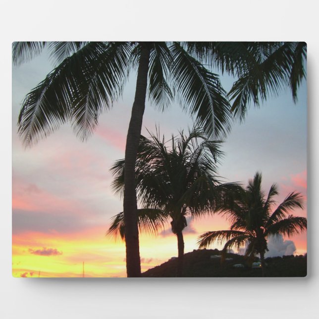 Plaque Photo Sunset Palms Tropical Paysage Photographie (Devant)