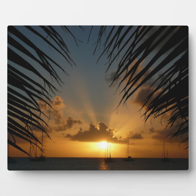 Plaque Photo Sunset Through Palm Fronds (Devant)