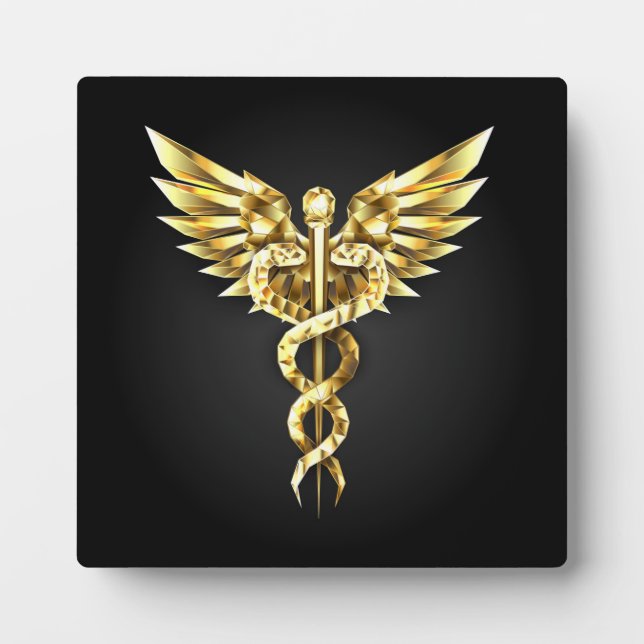 Plaque Photo Symbole Polygonal Or Caduceus (Devant)