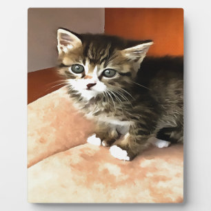 Plaque Photo Tabby Cat Kitten Portrait pour animaux