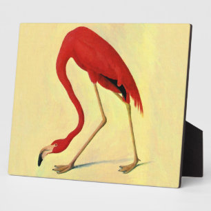 Plaque Photo Tableau Flamant rose américain Audubon