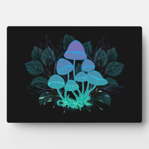 Plaque Photo Tabourets dans Bushes