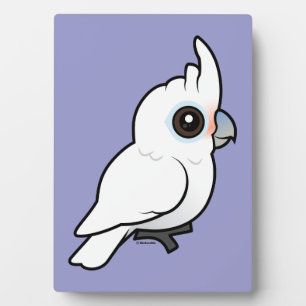 Plaque Photo Tanimbar Corella