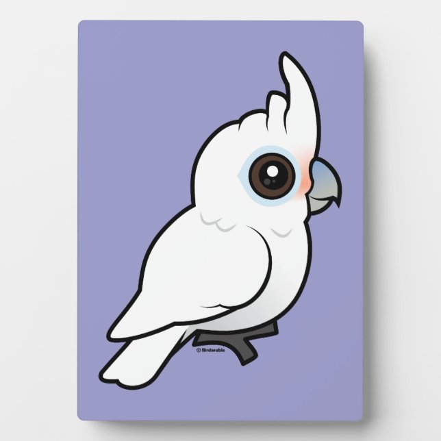 Plaque Photo Tanimbar Corella (Devant)