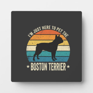 Plaque Photo Terrier de Boston Graphique Rétro Amateur de Chien