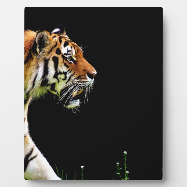 Plaque Photo Tigre approchant - Oeuvres d'art d'animaux sauvage (Devant)
