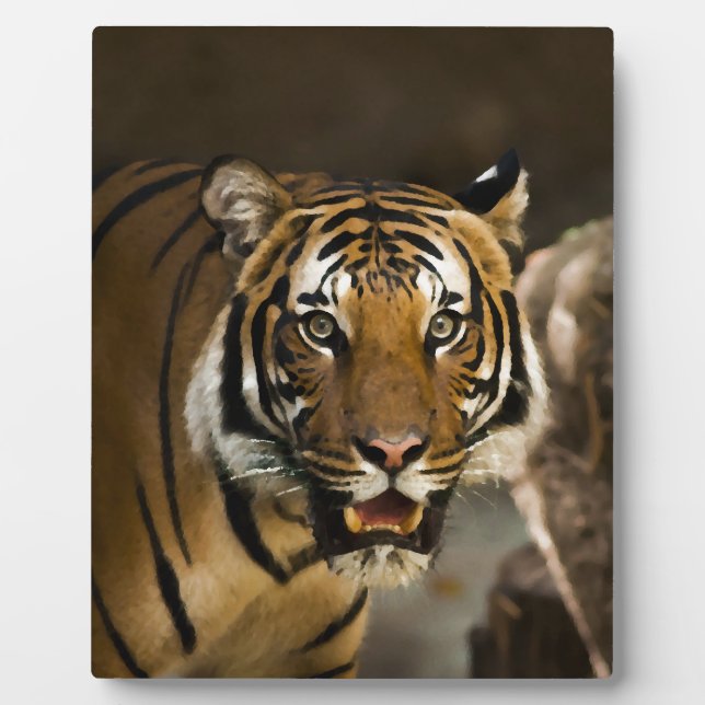 Plaque Photo Tigre de Sibérie (Devant)