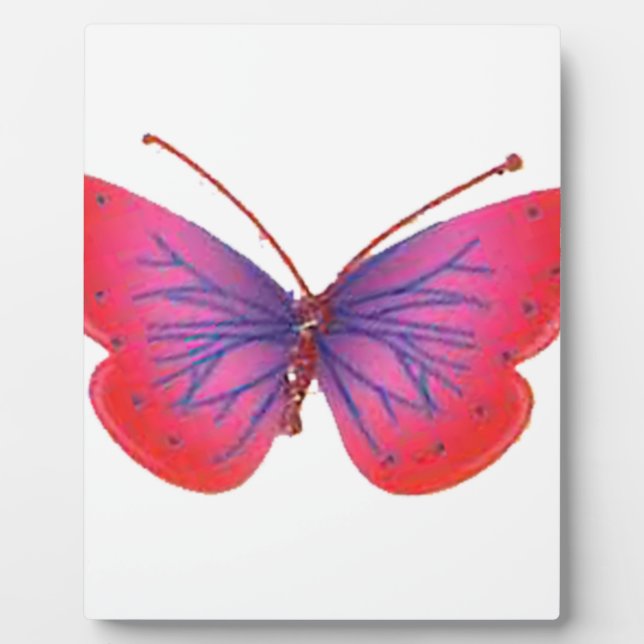 Plaque Photo Toujours jeune (Devant)