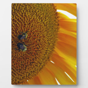 Plaque Photo Tournesol aux bourdons