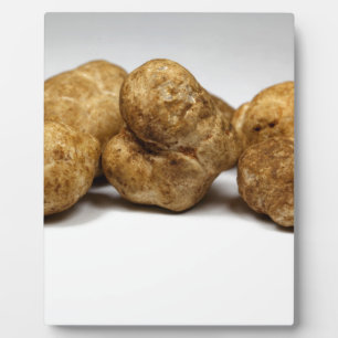 Plaque Photo Truffes blanches de l'espèce tuber oligospermum.