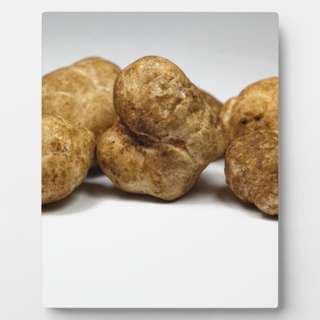 Plaque Photo Truffes blanches de l'espèce tuber oligospermum. (Devant)