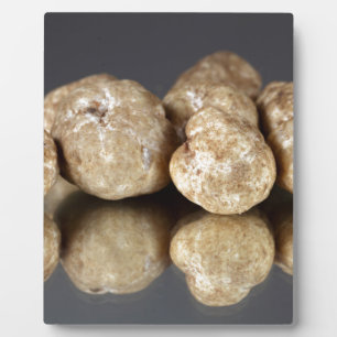 Plaque Photo Truffes blanches Tuber oligospermum