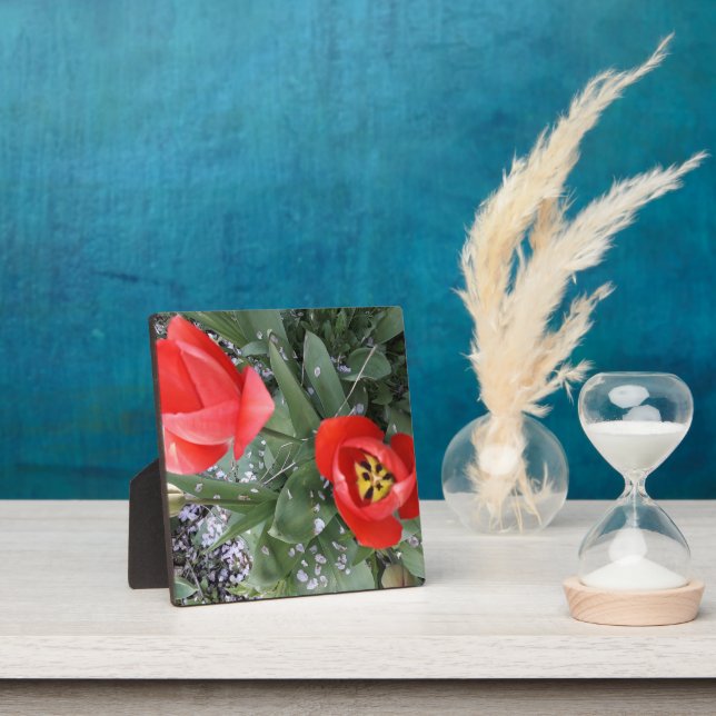 Plaque Photo Tuliforme rouge (Insitu)