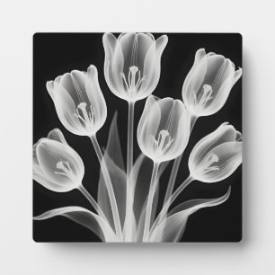 Plaque Photo Tulipes noires et blanches Élégant monochrome