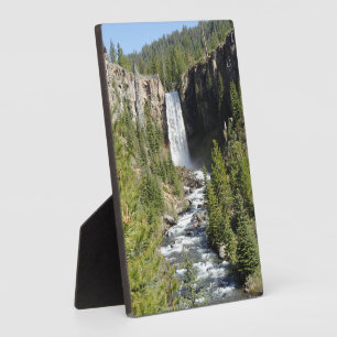 Plaque Photo Tumalo Falls