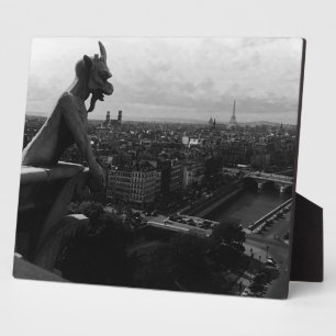 Plaque Photo Vintage France Paris Cathédrale Notre Dame diable